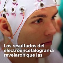 Así procesa el miedo el cerebro