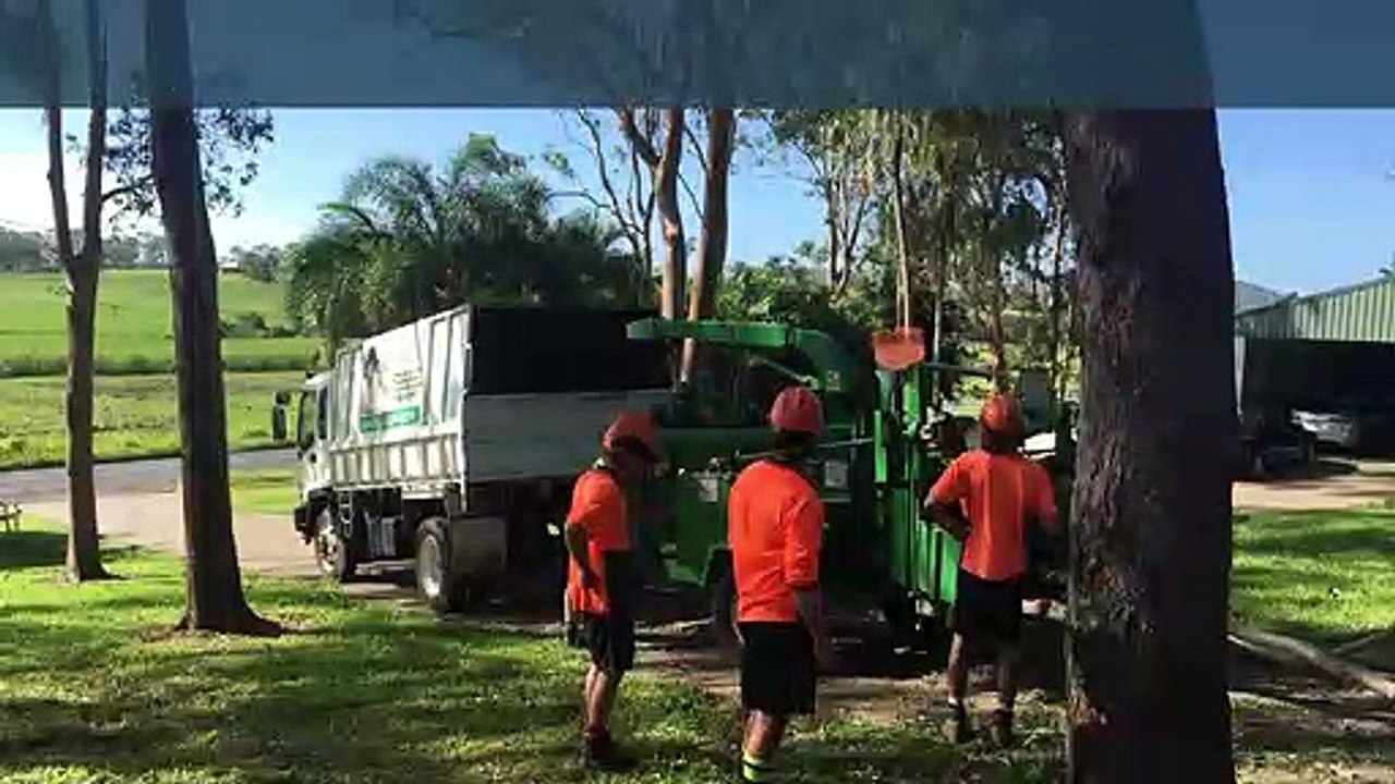 Wood Chipper Hire Services in Brisbane | Old Stump Tree Services