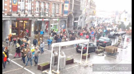 Des centaines de personnes ont marché pour le climat à Tournai