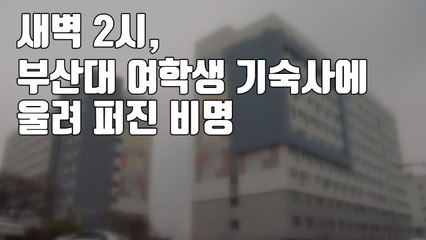 [자막뉴스] 새벽 2시, 부산대 여학생 기숙사에 울려 퍼진 비명 / YTN
