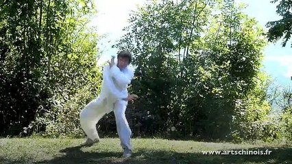 Técnicas de Kung Fu de los 5 Animales