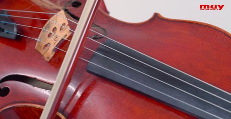 Instrumentos 'unplugged' 3 -Viola