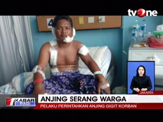Diserang Anjing Pitbull, Satpam Alami 21 Jahitan