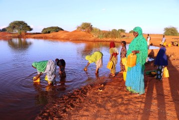 Yiyecek Bulabilmek İçin Ölüyorlar