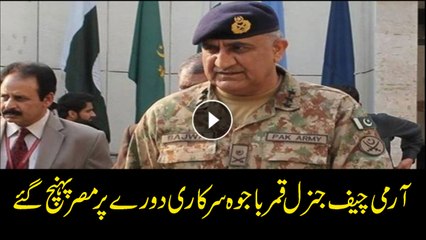 Download Video: COAS Gen Qamar Bajwa arrives in Egypt: ISPR