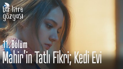 Mahir'in tatlı fikri; kedi evi - Bir Litre Gözyaşı 11. Bölüm