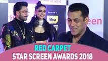 Red Carpet Of Star Screen Awards 2018