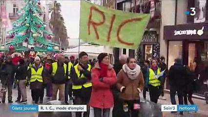 Les "gilets jaunes" se battent pour le référendum d'initiative citoyenne (RIC)