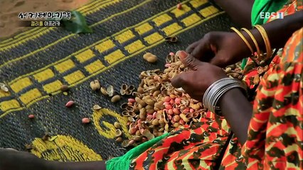 세계테마기행 - 컬러풀 아프리카 1부- 다이내믹 세네갈_#003