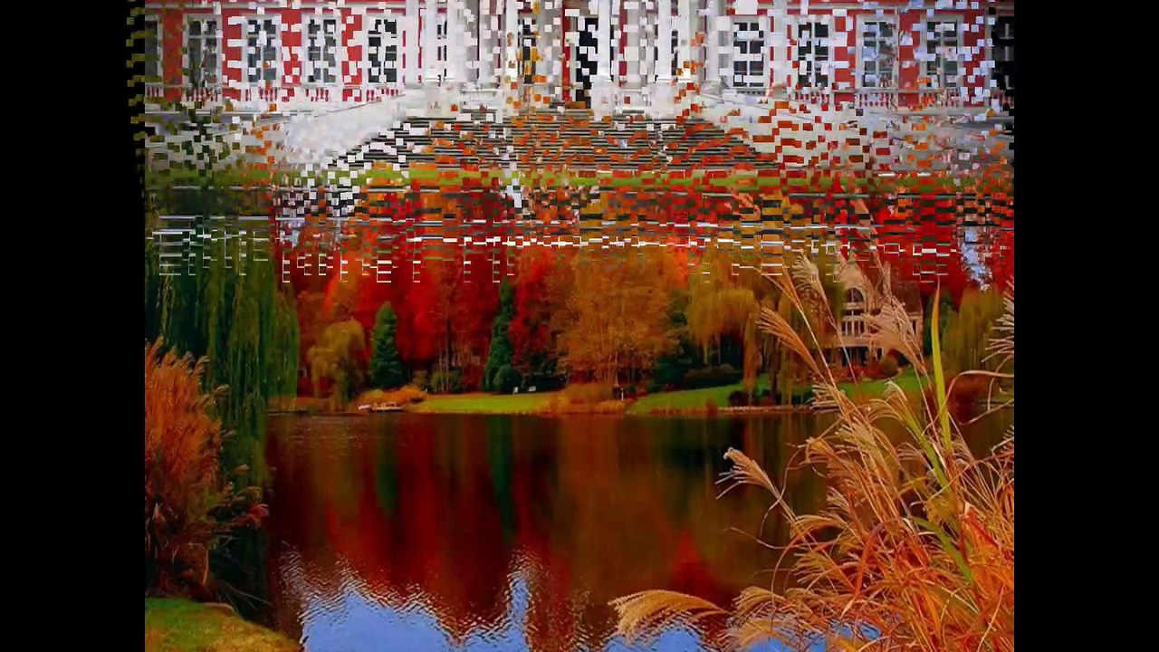 Amazing Reflections