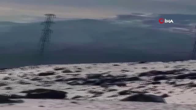 Yiyecek Arayan Domuz Sürüsü Cep Telefonuyla Görüntülendi