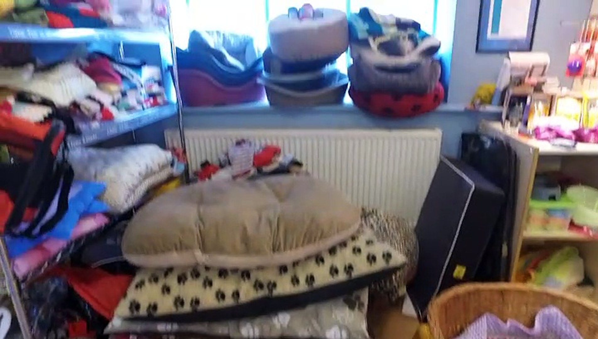 ⁣Donations To The Bristol Animal Rescue Centre!