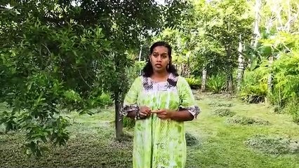 "Comment les plantes médicinales soignent-elles ?"