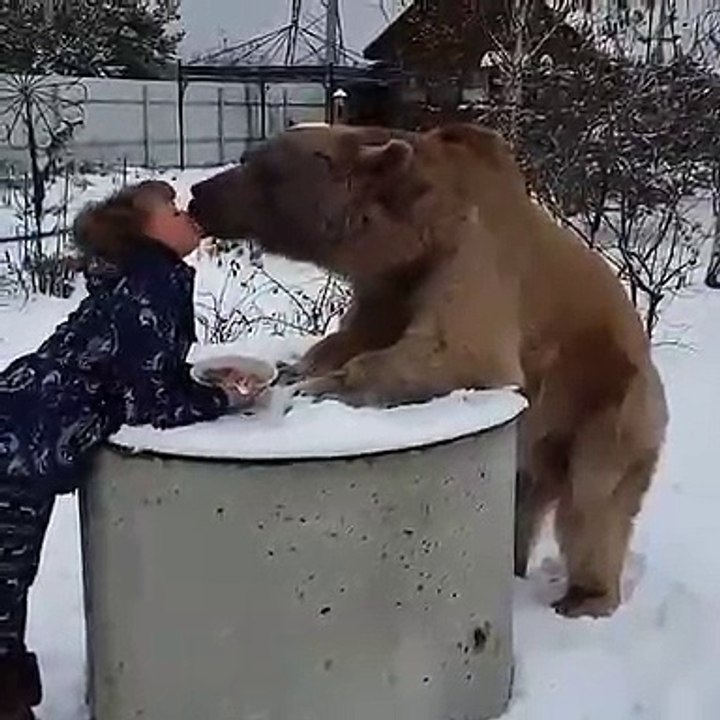 human and bear