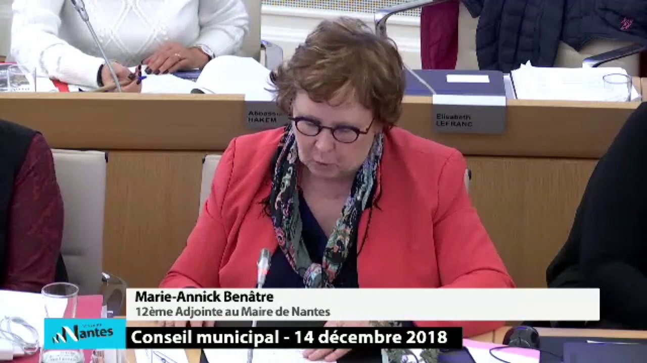 Marie-Annick BENATRE sur l'urbanisation au Conseil Municipale Nantes le 14 décembre  2018