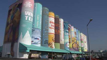 세계최대 야외 벽화 '기네스북 등재'...축구장 4배 / YTN