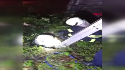 Muğla Su Dolu Çukura Düşen Köpek Kurtarıldı