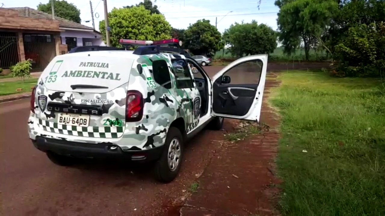 Patrulha Ambiental apura denúncia de maus tratos a animais