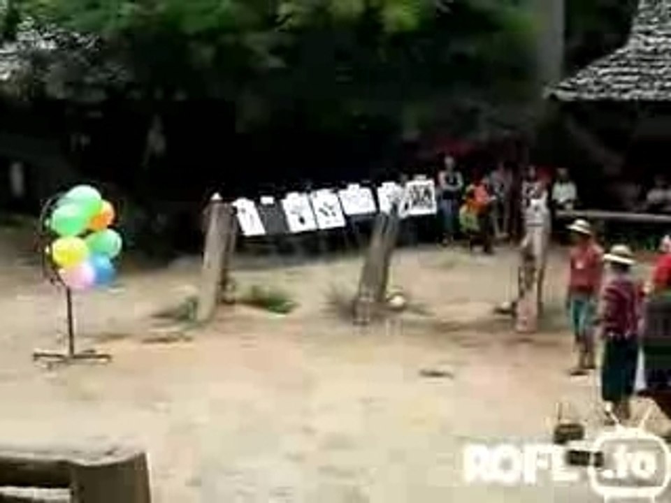 Elefant spielt dart