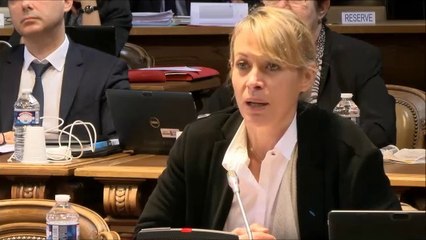 Nathalie KOENDERS. Discussion générale (amendement au financement 2019 du SDIS). 17 décembre 2018