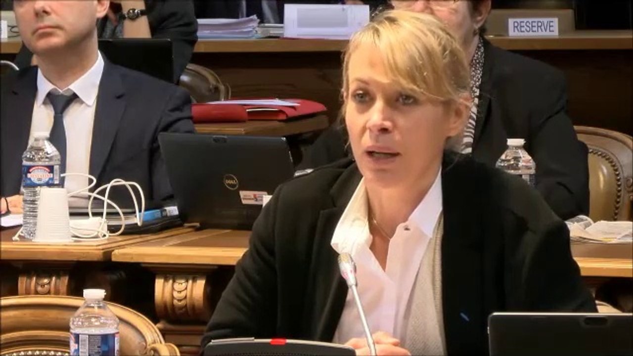 Nathalie KOENDERS. Discussion générale (amendement au financement 2019 du SDIS). 17 décembre 2018