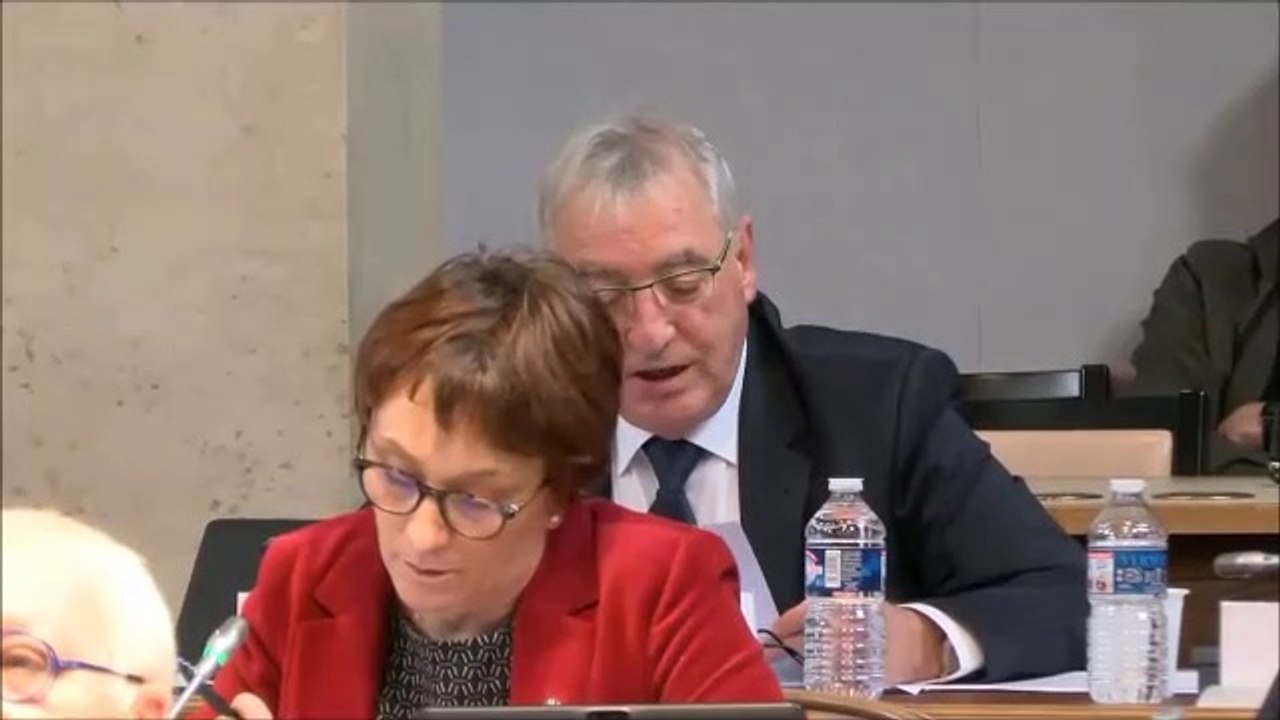 Michel BACHELARD. Discussion générale (amendement  bâtiments d'élevage). 17 décembre 2018