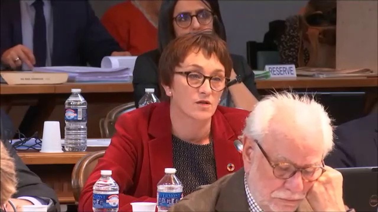 Céline TONOT. Discussion générale (amendement à la rénovation énergétique des EHPAD). 17 décembre 2018