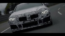 The new BMW M8 Coupe and the new BMW M8 GTE