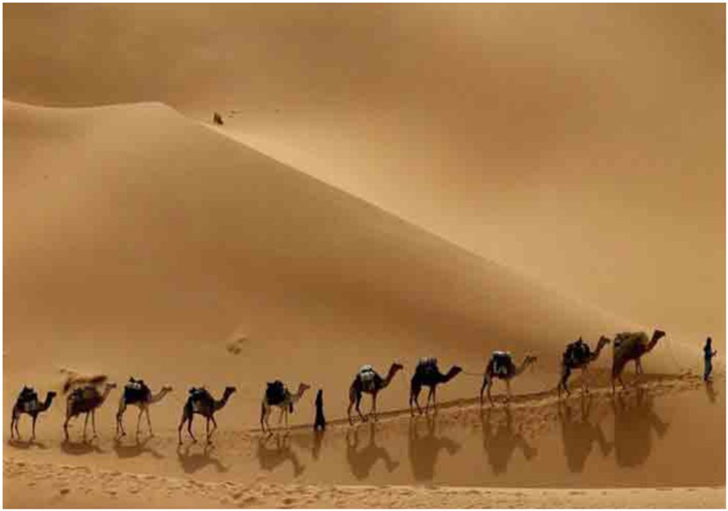 "تائه في المملكة" فيلم عالمي عن أجمل الأماكن السعودية.. تعرفوا على تفاصيله