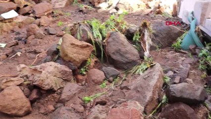 Muğla-Bodrum Gündoğan Mahallersinin Sel Sonrası Görüntüleri