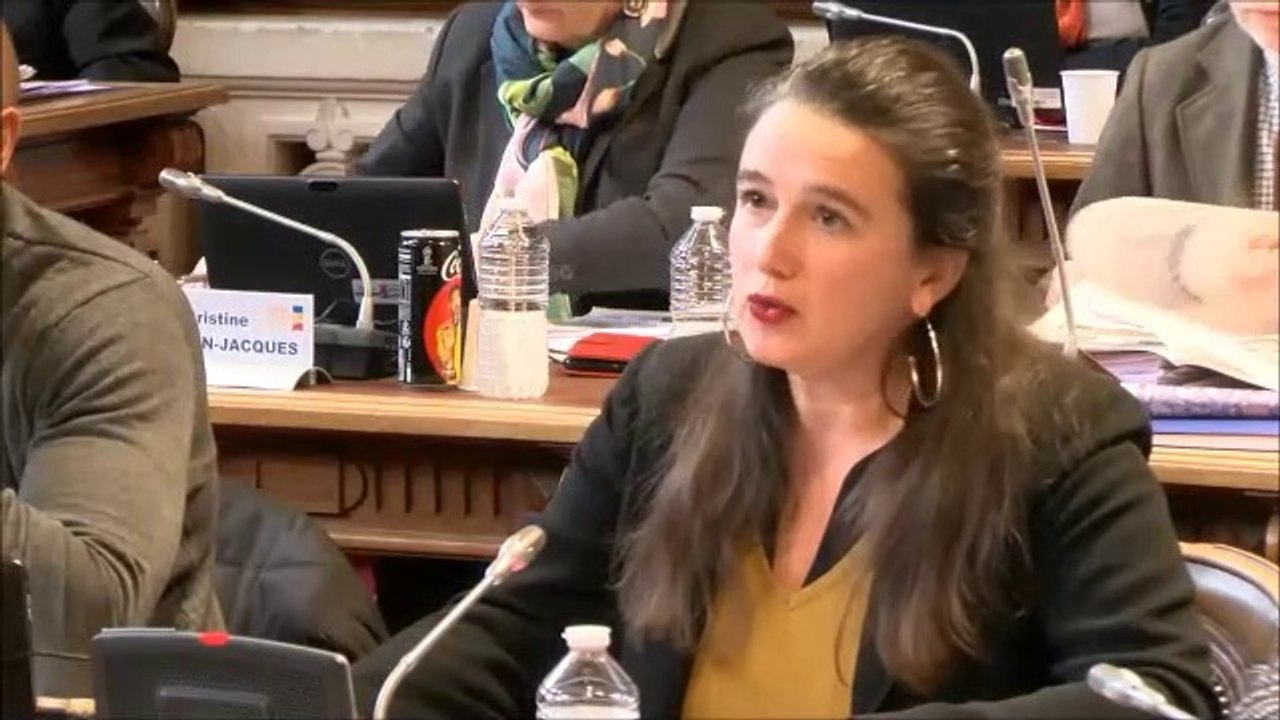 Céline MAGLICA. Discussion générale. Session du 17 décembre 2018