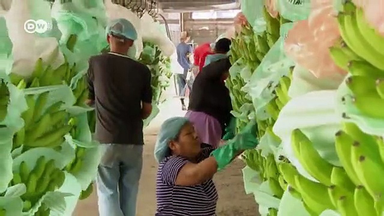 ecuador travel