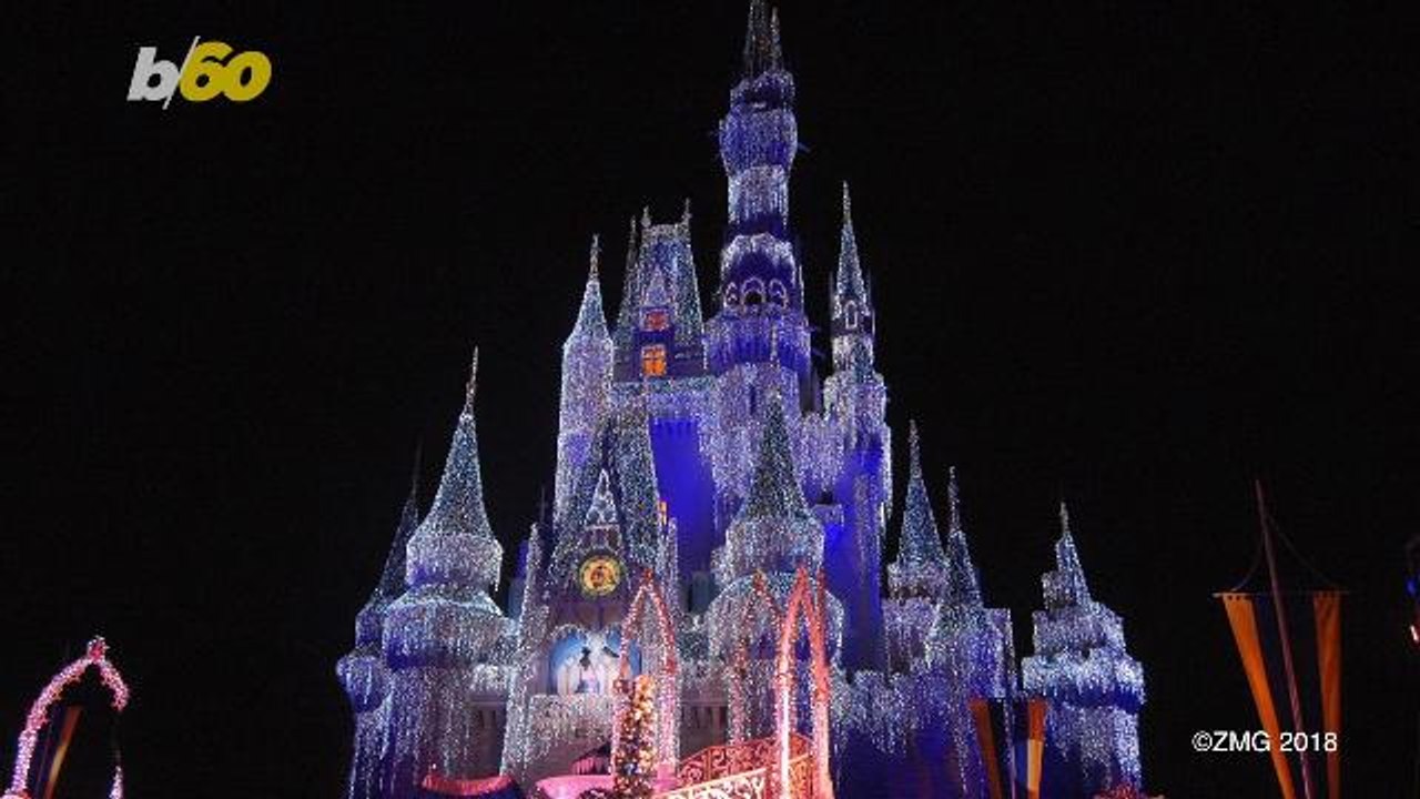 Get Them While You Can! These Delicious Winter Only Treats Are Being Sold At Disney Parks