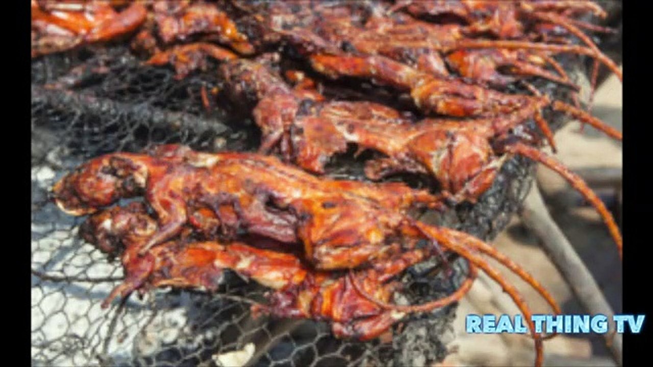 MILLION POUNDS OF RAT MEAT BEING SOLD AS BONELESS CHICKEN WINGS IN U S