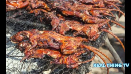 MILLION POUNDS OF RAT MEAT BEING SOLD AS BONELESS CHICKEN WINGS IN U S