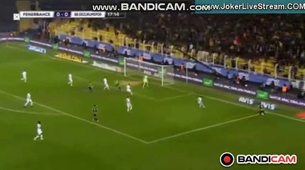 Goal Andre Ayew (1-0) Fenerbahçe SK vs 	Erzurum BB