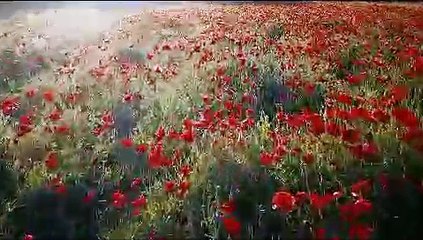 Surah Al-Qiyamah Emotional | Quran Recitation