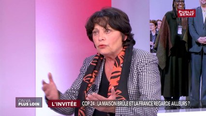 « Les Gilets jaunes ne sont pas anti écolo » estime Michèle Rivasi