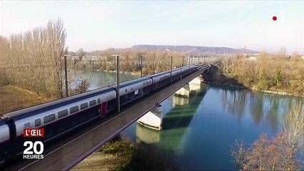 TGV, maisons, animaux domestiques : les incidents de chasse se multiplient