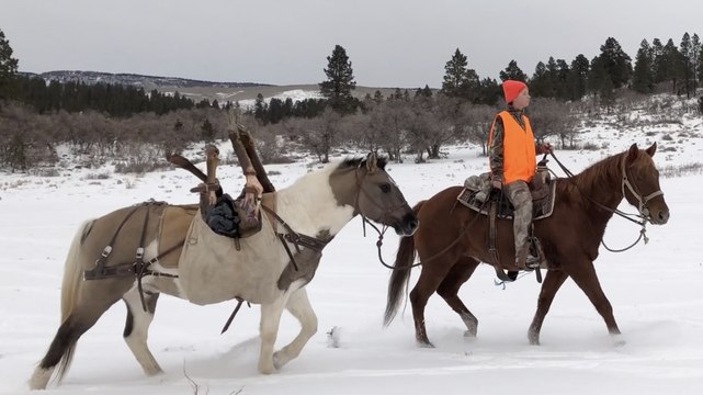 Cheyenne's Cow Elk Hunt