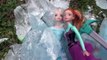 Anna Donmuş Elsayı Dev Buz Kütlesinden Çıkarıyor