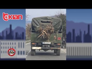 Stop - Hitparade i absurdit shqiptar! (17 dhjetor 2018)