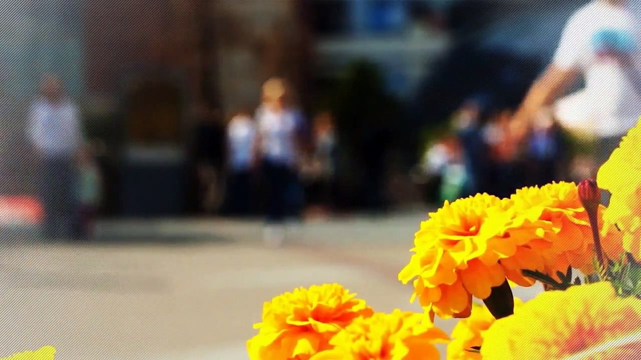 A louer - Appartement - SEREZIN DU RHONE (69360) - 3 pièces - 72m²