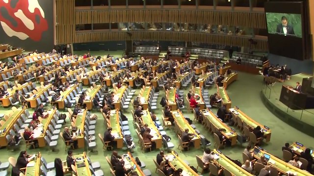 유엔총회, 북한 인권결의안 14년 연속 채택 / YTN