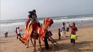 Camel Ride on Puri Beach