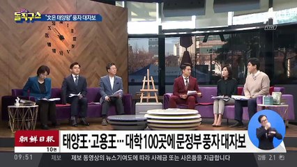 태양왕…고용왕…文 풍자 대자보