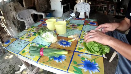 How To Regrow Onion Leeks and Lettuce Brought In Supermarket! (Part 1)