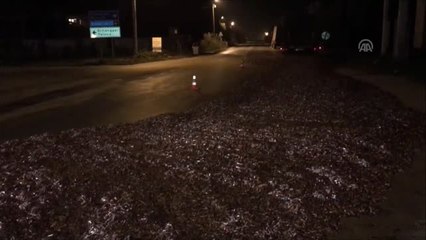 Kapağı Açılan Tır Kasasındaki 15 Ton Hamsi Yola Döküldü