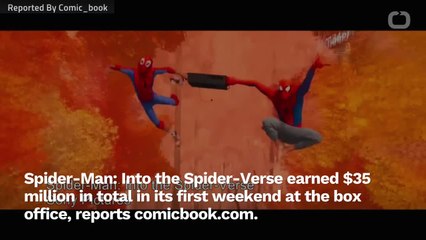 'Spider-Man: Into the Spider-Verse' Opens to $35 Million at the Box Office