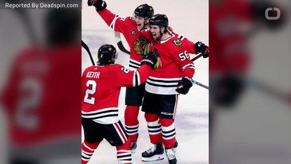 Blackhawks Mascot Gets Into Wrestling Match With Fan